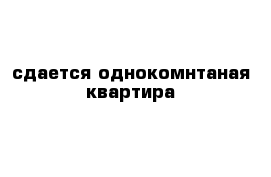 сдается однокомнтаная квартира